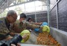 Rest Area Cibubur Kini Miliki Teknologi Pengolahan Limbah Organik, Keren - JPNN.com