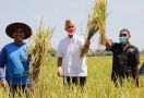 Jateng Jadi Lumbung Padi Nasional, Ganjar Optimistis Produktivitas Pertanian Masih Bisa Ditingkatkan - JPNN.com