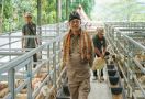 Mentan SYL Dorong Peternak Tingkatkan Produksi Kambing dan Domba, Ternyata Ini Tujuannya - JPNN.com