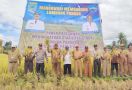 Manokwari Diharapkan Menjadi Lumbung Padi Pertama di Papua - JPNN.com