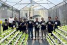 Ganjar Milenial Pasuruan Menggelar Aksi Bersih Lingkungan & Bagikan Sayuran Hidroponik - JPNN.com