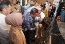 TDN Bersiap Hadapi Lonjakan Permintaan Daging Sapi Selama Ramadan - JPNN.com