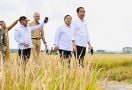 Presiden Jokowi dan Mentan Panen Raya di Kebumen, Bupati Arif Sugiyanto Sampaikan Hal Ini - JPNN.com