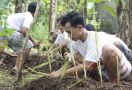 Orang Muda Ganjar DIY Tanam Empon-Empon dan Bersihkan Dusun di Jatirejo - JPNN.com