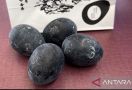 Telur Hitam dari Jepang Ini Diyakini Bisa Bikin Umur Panjang - JPNN.com