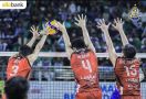 Link Live Streaming Grand Final Proliga 2023: Lavani Harus Hati-Hati - JPNN.com