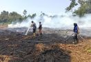 25 Hektare Lahan di Bengkalis Riau Terbakar, LIhat - JPNN.com