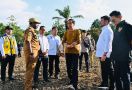 Presiden Jokowi Kick Off Food Estate di Papua, Siapkan Lahan Jagung 10 Ribu Hektare - JPNN.com
