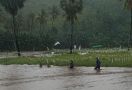 Banjir di Kota Bima, 41 Hektare Sawah Terdampak - JPNN.com