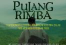 Film Dokumenter Pulang Rimba Roadshow ke Jakarta, Libatkan KOPHI dan Mutiara Azka - JPNN.com