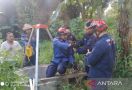 Tiga Kambing Tercebur Sumur di Bogor - JPNN.com