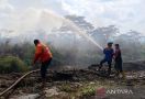 10 Hektare Lahan Perkebunan Kelapa Sawit di Aceh Barat Terbakar - JPNN.com