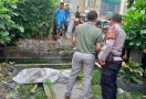 Penemuan Mayat di Pinggir Jalan SM Amin Pekanbaru Bikin Geger, Lihat - JPNN.com