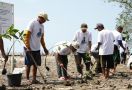 Sukarelawan Ganjar Tanam Mangrove di Karawang demi Bantu Nelayan - JPNN.com