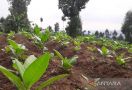 Pakar Ingatkan Bahaya Alih Fungsi Lahan terhadap Masa Depan Pertanian - JPNN.com