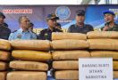 Bea Cukai & BNN Gagalkan Peredaran Ganja di Banten, Tuh Lihat Barang Bukti yang Disita - JPNN.com