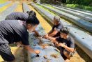 Manfaatkan Lahan Kosong, Ganjar Milenial Center & Sejumlah Organisasi Ajak Warga Budi Daya Cabai - JPNN.com