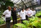 Megawati Mohon Kebun Raya Terus Dilestarikan demi Negara - JPNN.com