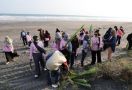 Bergerak ke Bantul, Srikandi Ganjar DIY Tanam Pandan Laut & Bersih-Bersih Pantai - JPNN.com