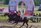 Siapkan Atlet Berkuda Berbakat, Pordasi Gelar Kejuaraan Pacu Kuda di Bantul - JPNN.com