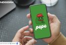 Meme Coin PEPE Naik Drastis, Begini Komentar CEO Indodax - JPNN.com