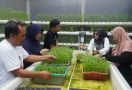 OMG Dukung Inovasi Masyarakat dan Bantu Renovasi Green House di Pulogadung - JPNN.com