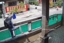 Viral Rumah Warga di Bekasi Kemalingan, Kerugian Capai Rp 100 Juta - JPNN.com