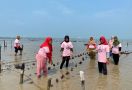 Srikandi Ganjar Adakan Pelatihan Budi Daya Rumput Laut di Lampung Selatan - JPNN.com