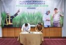 Bantu Permodalan Usaha untuk Petani Tebu, SGN Gandeng LPDB-KUMKM - JPNN.com