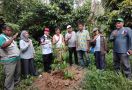 Kementan: Kolaka Siap jadi Kampung Durian Ramah Lingkungan - JPNN.com