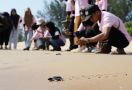 Srikandi Ganjar Melepas Tukik dan Bersih-Bersih Pantai di Sambas - JPNN.com
