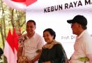 Cerita Kebun Raya Mangrove, Walkot Surabaya: Arahan Bu Mega hingga Entaskan Kemiskinan - JPNN.com