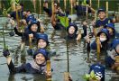 Hari Mangrove Sedunia, AIS Forum Gelar Penanaman Mangrove di Indonesia dan Dominika - JPNN.com