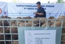 Permintaan Tepung Glukomanan Meningkat, Budi Daya Umbi Porang Menjanjikan - JPNN.com