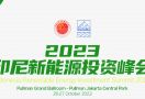 Lirik Potensi EBT, Shan Hai Map Gelar Indonesia Renewable Energy Investment Summit 2023 - JPNN.com