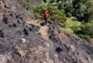 Polisi Ungkap Penyebab Kebakaran 140 Hektare Lahan di Gunung Rinjani - JPNN.com