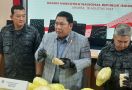 BNN Sita 247 Kg Narkotika dari 5 Kasus di Sumatera, Ada Varian Baru - JPNN.com