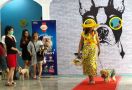 Pawppy Dog Matters Ajak Pencinta Anabul Lomba Fashion Show - JPNN.com