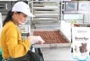 Bea Cukai Bantu UMKM Merajut Asa Mengekspansi Pasar Dunia - JPNN.com