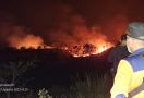 133 Hektare Lahan di TN Gunung Ciremai Terbakar, Angin Menyulitkan Pemadaman - JPNN.com