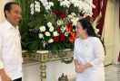 Puan Maharani Melaporkan Hasil Pertemuannya dengan Jokowi, Seru Banget - JPNN.com