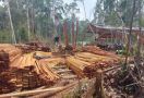 Kasus Illegal Logging di Pulau Tengah Karimunjawa Diduga Libatkan Petinggi Polri - JPNN.com