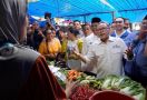 Borong Jualan Pedagang di Pasar Palapa Pekanbaru, Zulhas: Masa Sedekah Enggak Boleh? - JPNN.com