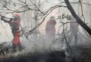 4.082,8 Hektare Lahan dan Hutan di Sumsel Terbakar - JPNN.com