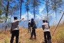 Hutan Pinus Malino di Gowa Terbakar, Begini Kondisinya - JPNN.com