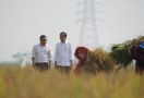 Plt Mentan Langsung Bergerak, Mendampingi Presiden Panen Raya di Sukamandi - JPNN.com