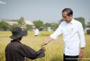 El Nino & Geopolitik, Jangan Galau, Jokowi: Cadangan Beras Cukup - JPNN.com