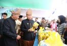 Cek Inflasi, Pj Gubernur Sumsel Blusukan ke Agenda Operasi Pasar - JPNN.com