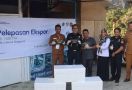 Bea Cukai Kendari Sukses Antarkan UMKM Ini Ekspor Perdana Kepiting Hidup ke Singapura - JPNN.com