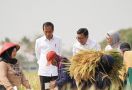 Dampingi Presiden Jokowi Saat Panen Raya di Indramayu, Plt Mentan Arief Bilang Begini - JPNN.com